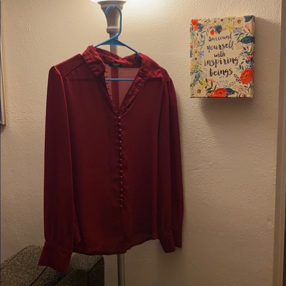 Wins Sheer Ted Button Down Blouse